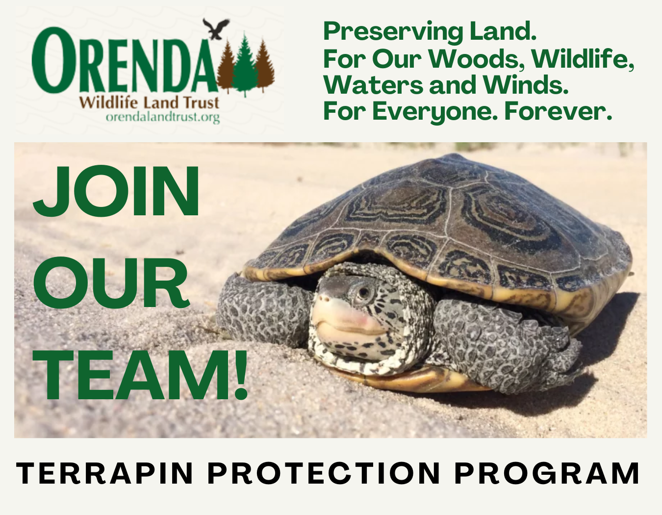 2024 Diamondback Terrapin Protection Program - Orenda Wildlife Land Trust