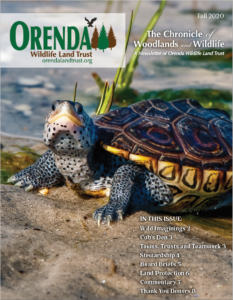 Orenda’s Fall 2020 Newsletter