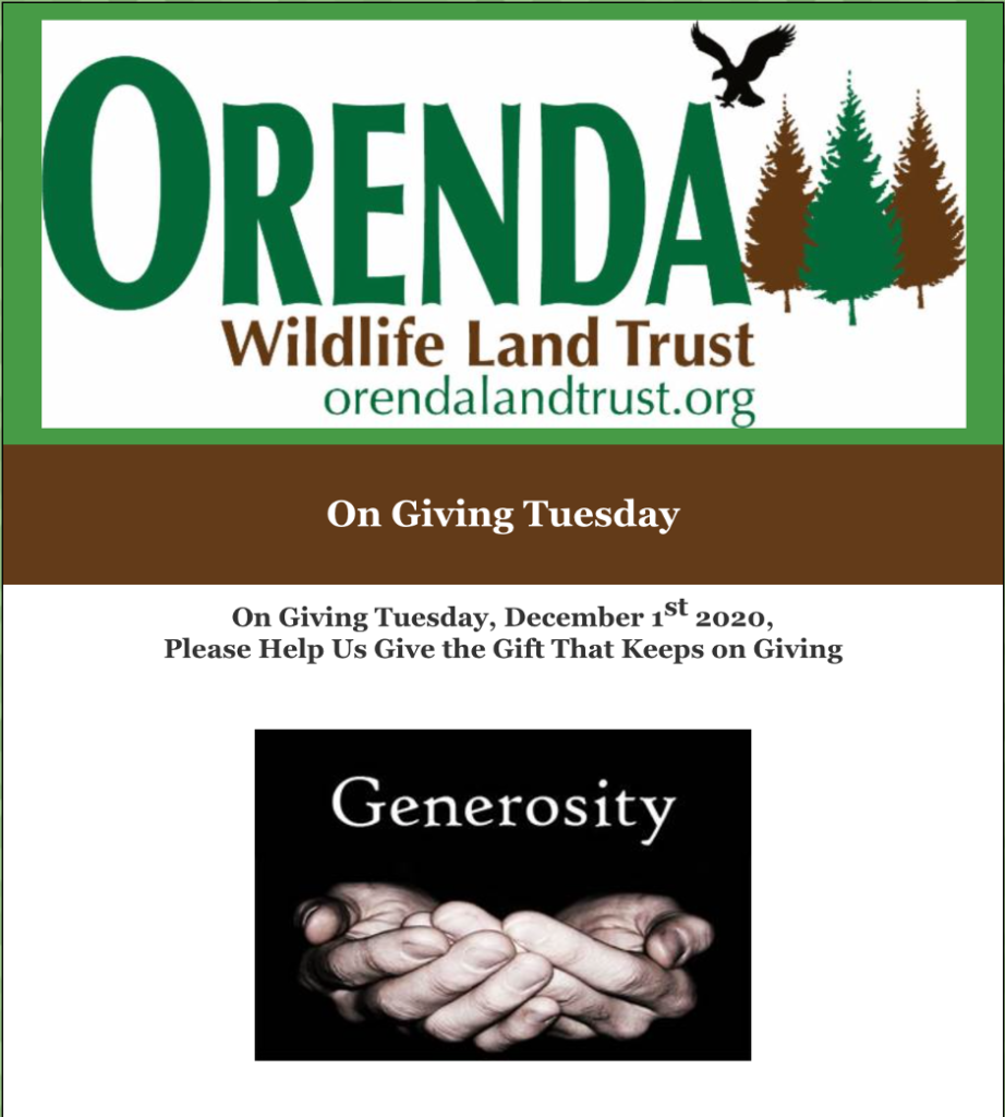 Orenda Holiday 2020 Newsletter