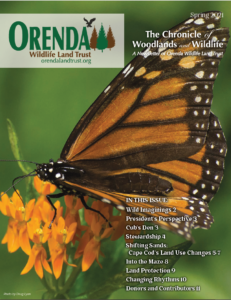 Orenda Spring 2021 Newsletter
