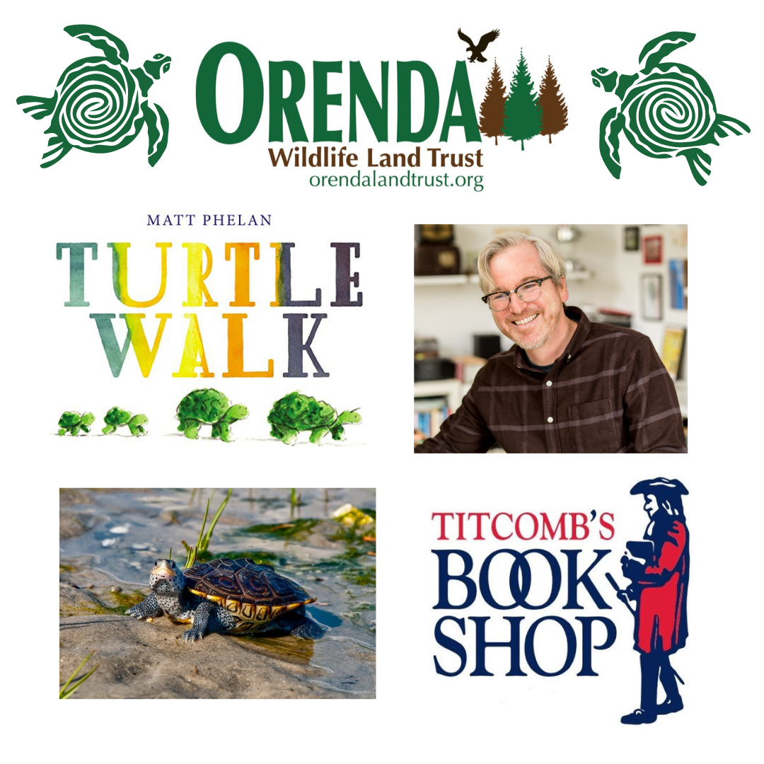 Turtle Walk Story Hour and AuthorIllustrator Meet & Greet Orenda
