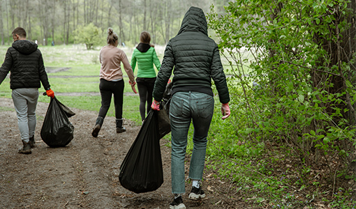 group of volunteers with garbage bags are cleaning the forest.