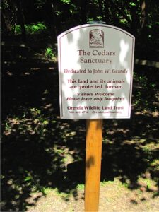 Cedars Sanctuary 